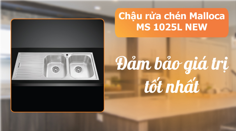 Chậu rửa chén Malloca MS 1025L NEW